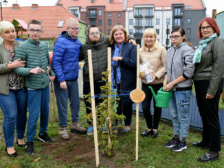 Drzewo w SOSW zasadziła Starosta oraz uczniowie