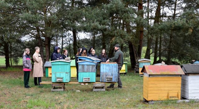 Wspólnie dla pszczół… warsztaty bartnicze