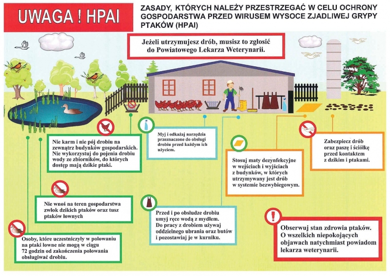 Zasady, których należy przestrzegać w celu ochrony gospodarstwa przed wirusem HPAI -